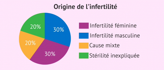 Accompagnement des couples désireux de construire une famille