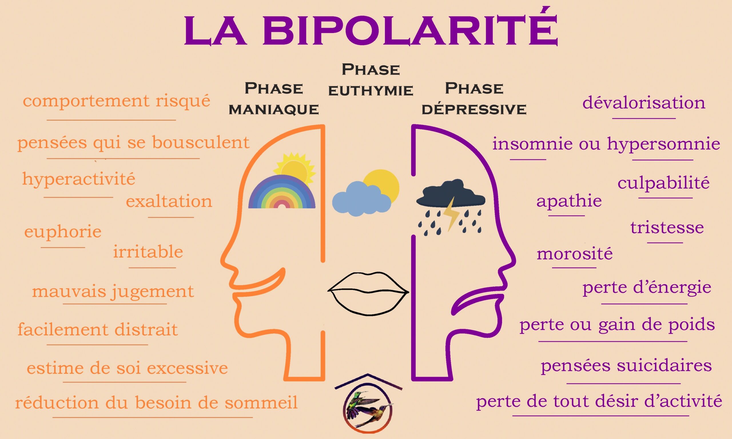 Les Troubles Bipolaires